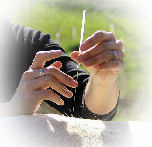 celia merino acupuncture