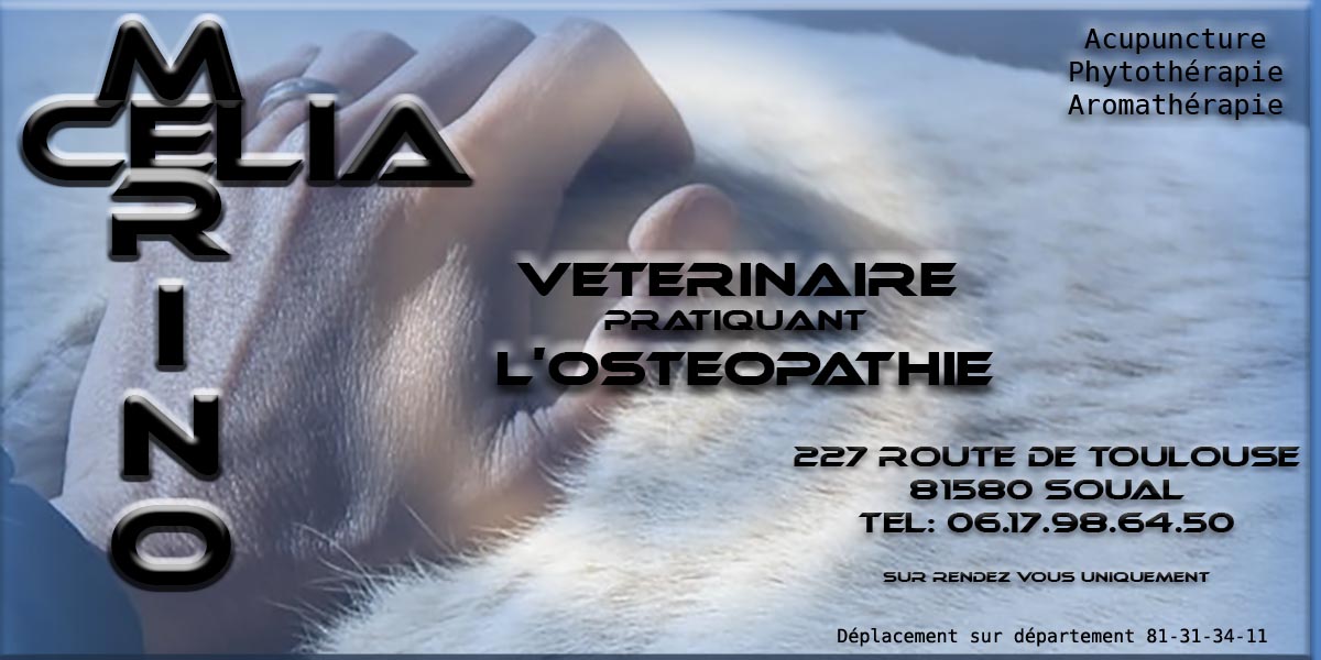Celia Merino  Vétérinaire Ostéopathe animalier